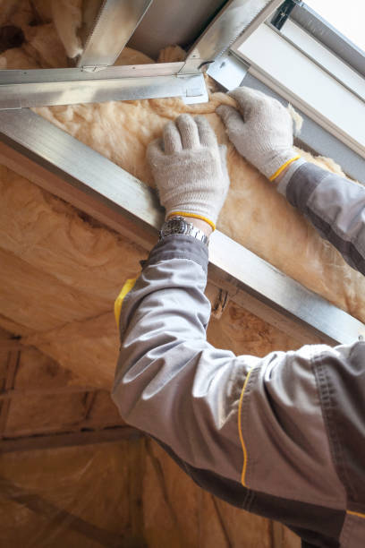 Best Blown-in Insulation in Roodhouse, IL