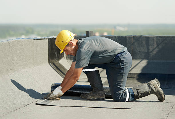 Best DIY Insulation Kits and Guidance in Roodhouse, IL