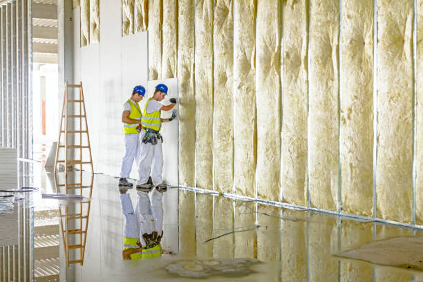 Best Eco-Friendly Insulation in Roodhouse, IL